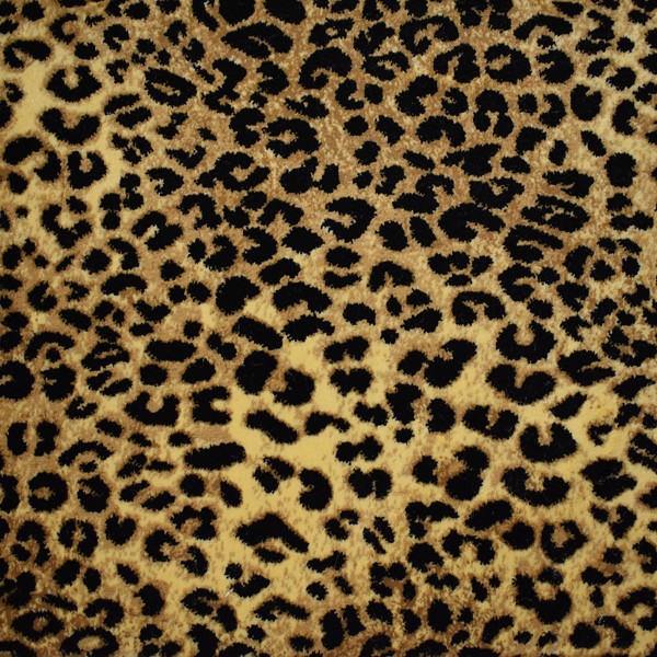 Kaplani Agile Cheetah